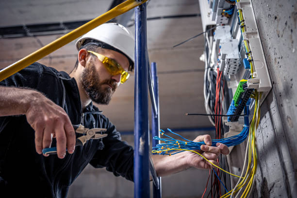 Best Local Electrician Companies  in Bath, MI