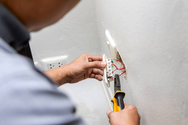 Best Electric Panel Repair  in Bath, MI